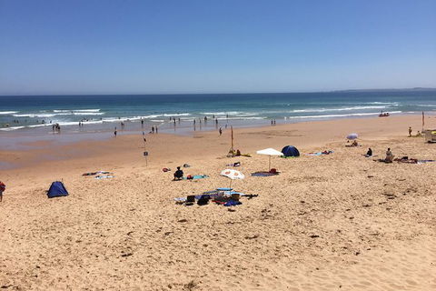 Day Tour Of Phillip Island & Surrounding Region - Surfers Paradise Gold Coast 7