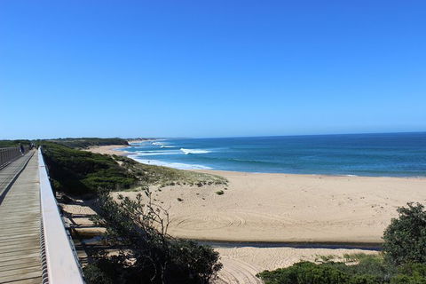 Day Tour Of Phillip Island & Surrounding Region - Surfers Paradise Gold Coast 3