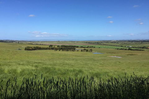 Day Tour Of Phillip Island & Surrounding Region - Surfers Paradise Gold Coast 4
