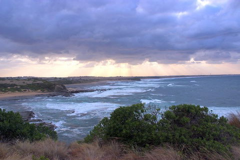 Day Tour Of Phillip Island & Surrounding Region - Surfers Paradise Gold Coast 12
