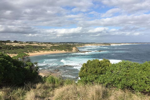 Day Tour Of Phillip Island & Surrounding Region - Surfers Paradise Gold Coast 10