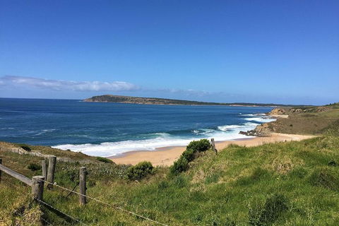 Day Tour Of Phillip Island & Surrounding Region - Surfers Paradise Gold Coast 5