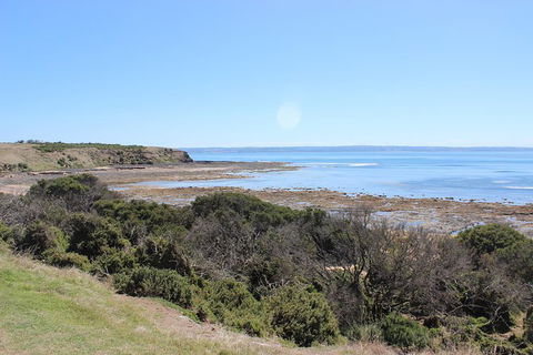 Day Tour Of Phillip Island & Surrounding Region - Surfers Paradise Gold Coast 2