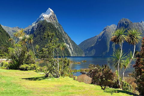 Aroha Tangata Australia And New Zealand 20 Day - Surfers Paradise Gold Coast 1