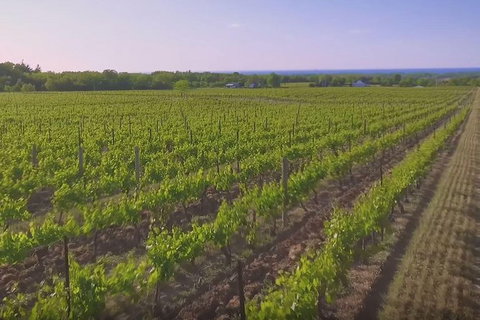 Macedon Ranges Small Group Wine Tour With 2 Course Lunch And Morning Tea - Surfers Paradise Gold Coast 1