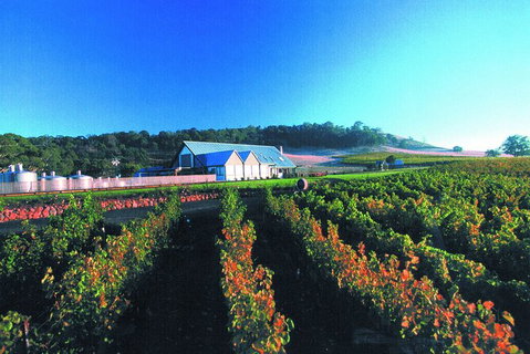 Macedon Ranges Small Group Wine Tour With 2 Course Lunch And Morning Tea - Surfers Paradise Gold Coast 4
