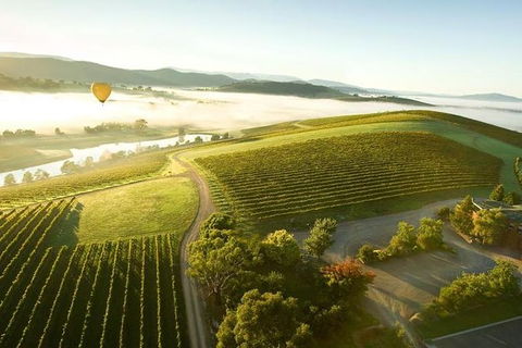 Yarra Valley Wine Tour With Local Harvest Tastings From Melbourne - Surfers Paradise Gold Coast 7