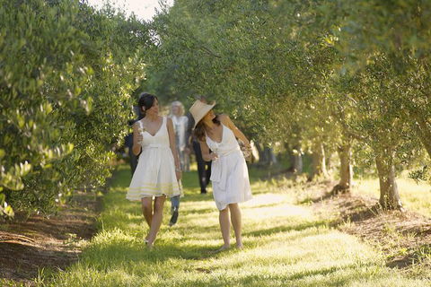 Yarra Valley Wine Tour With Local Harvest Tastings From Melbourne - Surfers Paradise Gold Coast 8