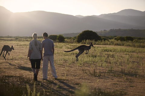 Overnight Daylesford And Macedon Ranges Gourmet Food Trail Tour From Melbourne - Surfers Paradise Gold Coast 4