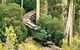 Dandenong Ranges Tour By Puffing Billy Steam Train - thumb 1