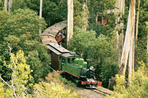 Dandenong Ranges Tour By Puffing Billy Steam Train - Surfers Paradise Gold Coast 3