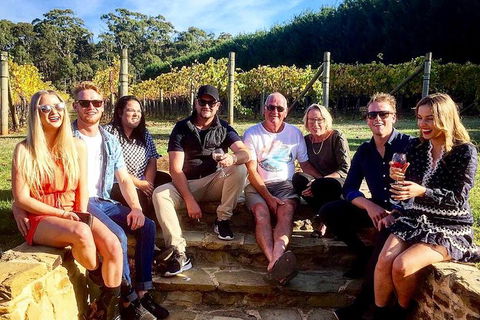 5 Hour Private Wine Tour - Surfers Paradise Gold Coast 5