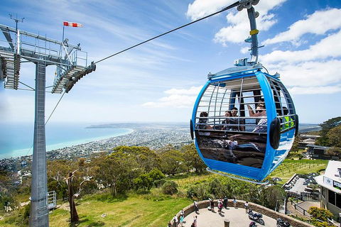 Around The Bay Food And Wine Taste Trail - Surfers Paradise Gold Coast 1