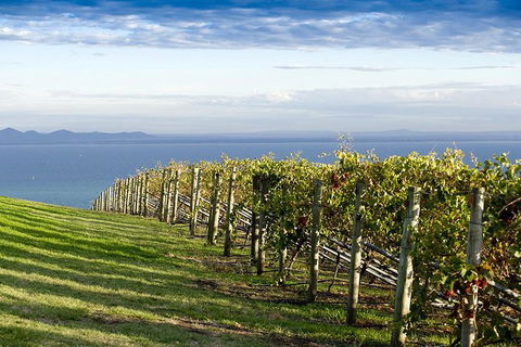 Around The Bay Food And Wine Taste Trail - Surfers Paradise Gold Coast 5