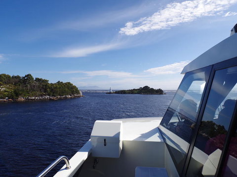 5-Day Best Of Tasmania Tour From Hobart - Surfers Paradise Gold Coast 3