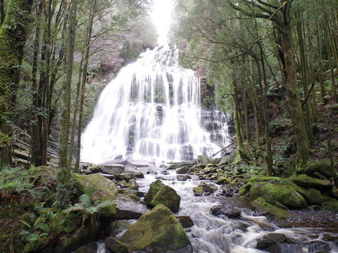 5-Day Best Of Tasmania Tour From Hobart - Surfers Paradise Gold Coast 2