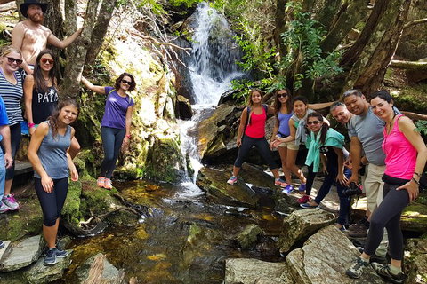 5-Day Best Of Tasmania Tour From Hobart - Surfers Paradise Gold Coast 9
