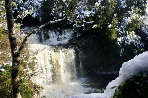 Cradle Mountain Day Tour From Launceston Including Lunch - Surfers Paradise Gold Coast 9