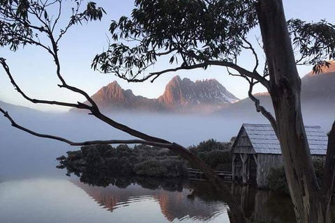 Cradle Mountain Day Tour From Launceston Including Lunch - Surfers Paradise Gold Coast 7