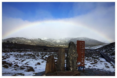 Cradle Mountain Day Tour From Launceston Including Lunch - Surfers Paradise Gold Coast 8