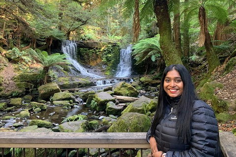 Day Tour In Mt. Field, Mt. Wellington, Bonorong Wildlife Sanctuary And Richmond - Surfers Paradise Gold Coast 4