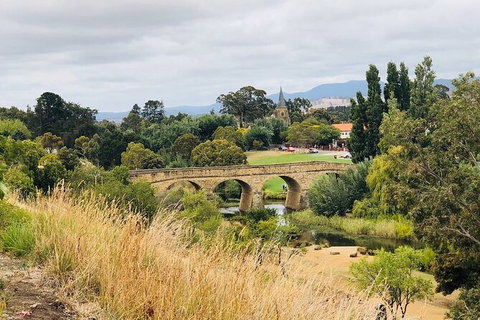 Day Tour In Mt. Field, Mt. Wellington, Bonorong Wildlife Sanctuary And Richmond - Surfers Paradise Gold Coast 6
