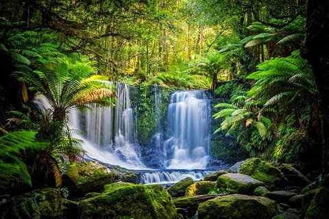 Day Tour In Mt. Field, Mt. Wellington, Bonorong Wildlife Sanctuary And Richmond - Surfers Paradise Gold Coast 7
