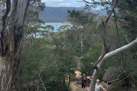 Wineglass Bay And Freycinet National Park Active Day Trip From Hobart - Surfers Paradise Gold Coast 14