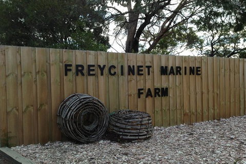Wineglass Bay And Freycinet National Park Active Day Trip From Hobart - Surfers Paradise Gold Coast 20