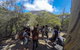 Wineglass Bay And Freycinet National Park Active Day Trip From Hobart - thumb 9