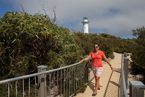 Wineglass Bay And Freycinet National Park Active Day Trip From Hobart - Surfers Paradise Gold Coast 29