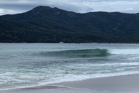 Wineglass Bay And Freycinet National Park Active Day Trip From Hobart - Surfers Paradise Gold Coast 17