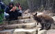 Wineglass Bay And Freycinet National Park Active Day Trip From Hobart - thumb 12