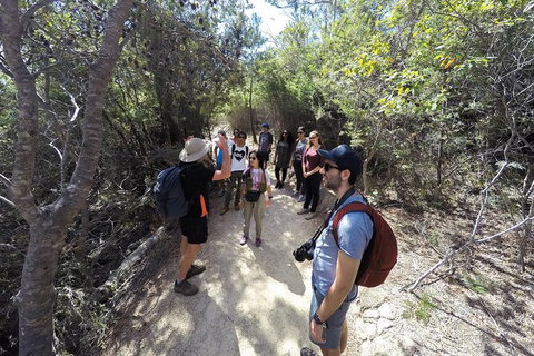 Wineglass Bay And Freycinet National Park Active Day Trip From Hobart - Surfers Paradise Gold Coast 19