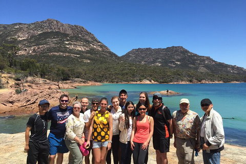 Wineglass Bay And Freycinet National Park Active Day Trip From Hobart - Surfers Paradise Gold Coast 24