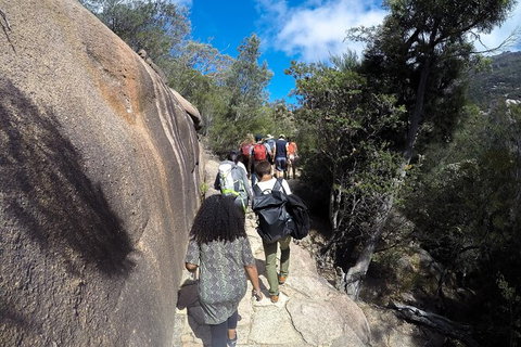 Wineglass Bay And Freycinet National Park Active Day Trip From Hobart - Surfers Paradise Gold Coast 21