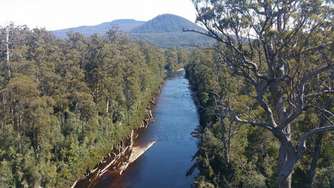 Small-group DayTour From Hobart: Hastings Caves, Huon Valley And Tahune AirWalk - Surfers Paradise Gold Coast 3