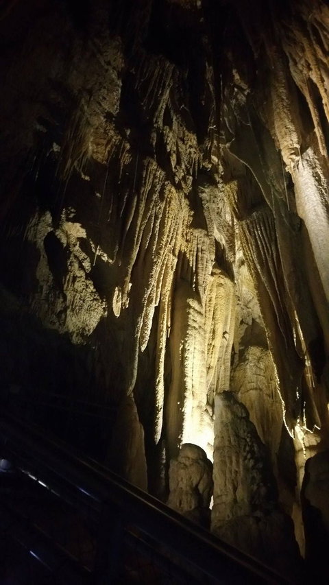 Small-group DayTour From Hobart: Hastings Caves, Huon Valley And Tahune AirWalk - Surfers Paradise Gold Coast 5