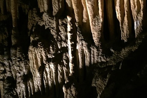 Small-group DayTour From Hobart: Hastings Caves, Huon Valley And Tahune AirWalk - Surfers Paradise Gold Coast 1