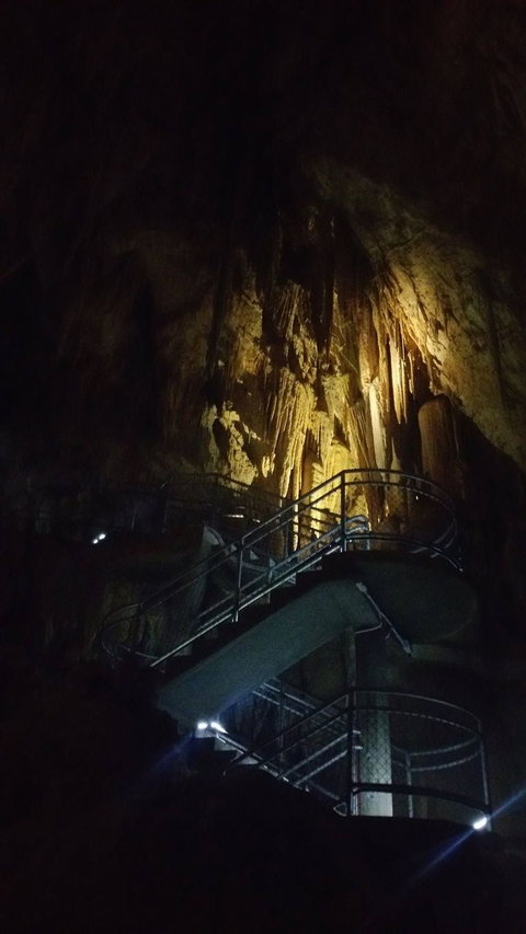 Small-group DayTour From Hobart: Hastings Caves, Huon Valley And Tahune AirWalk - Surfers Paradise Gold Coast 4