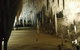 Small-group DayTour From Hobart: Hastings Caves, Huon Valley And Tahune AirWalk - thumb 8