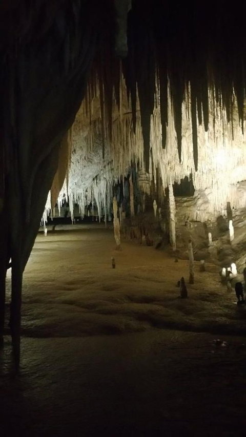 Small-group DayTour From Hobart: Hastings Caves, Huon Valley And Tahune AirWalk - Surfers Paradise Gold Coast 8