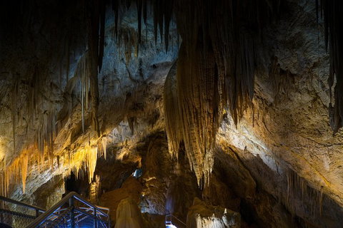 Small-group DayTour From Hobart: Hastings Caves, Huon Valley And Tahune AirWalk - Surfers Paradise Gold Coast 19