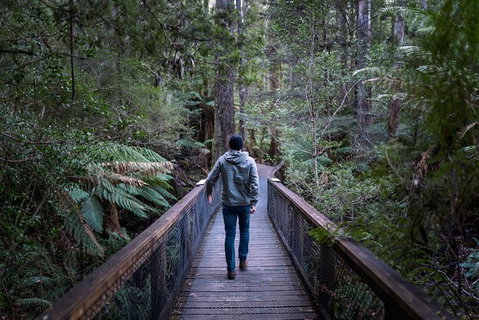 Small-group DayTour From Hobart: Hastings Caves, Huon Valley And Tahune AirWalk - Surfers Paradise Gold Coast 11