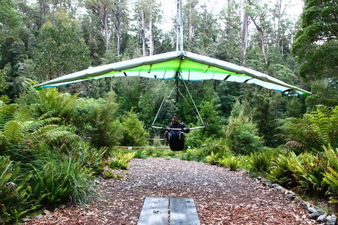 Small-group DayTour From Hobart: Hastings Caves, Huon Valley And Tahune AirWalk - Surfers Paradise Gold Coast 10