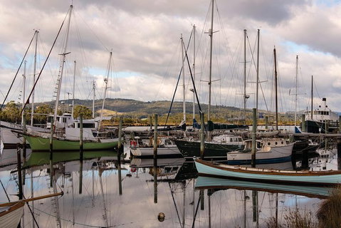 Small-group DayTour From Hobart: Hastings Caves, Huon Valley And Tahune AirWalk - Surfers Paradise Gold Coast 13