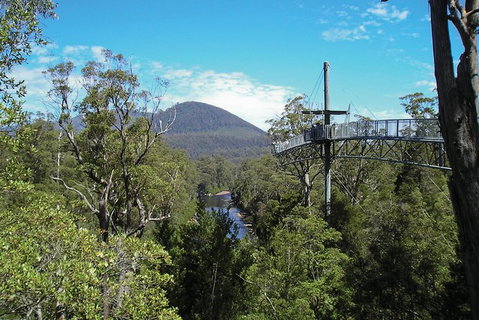Small-group DayTour From Hobart: Hastings Caves, Huon Valley And Tahune AirWalk - Surfers Paradise Gold Coast 9