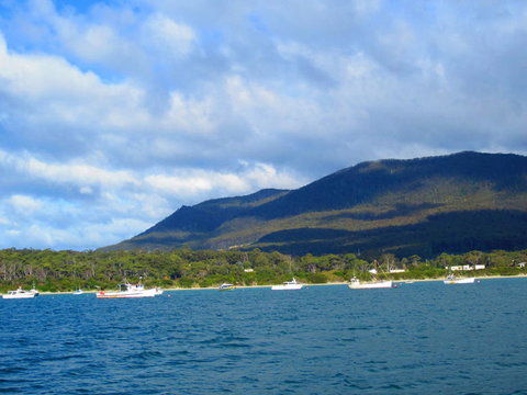 Full-Day Tasman Peninsula Tour From Hobart - Surfers Paradise Gold Coast 7