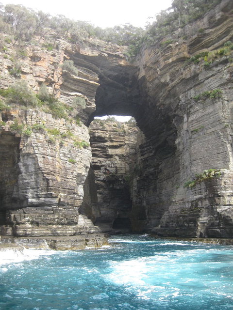 Full-Day Tasman Peninsula Tour From Hobart - Surfers Paradise Gold Coast 5