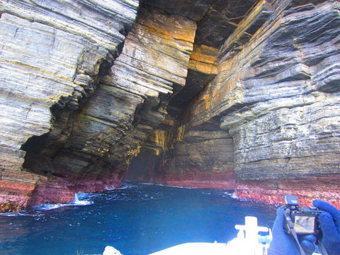 Full-Day Tasman Peninsula Tour From Hobart - Surfers Paradise Gold Coast 8